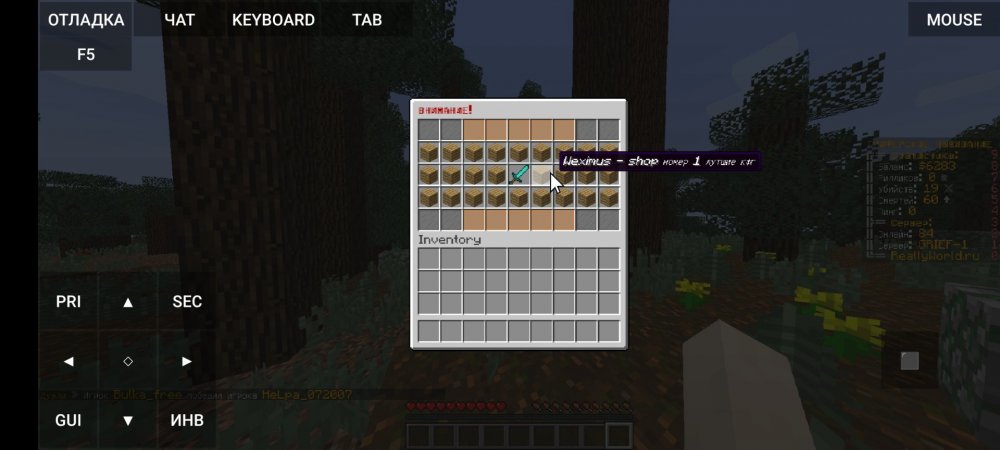 Screenshot_2022-07-07-02-52-32-866_net.kdt.pojavlaunch.jpg
