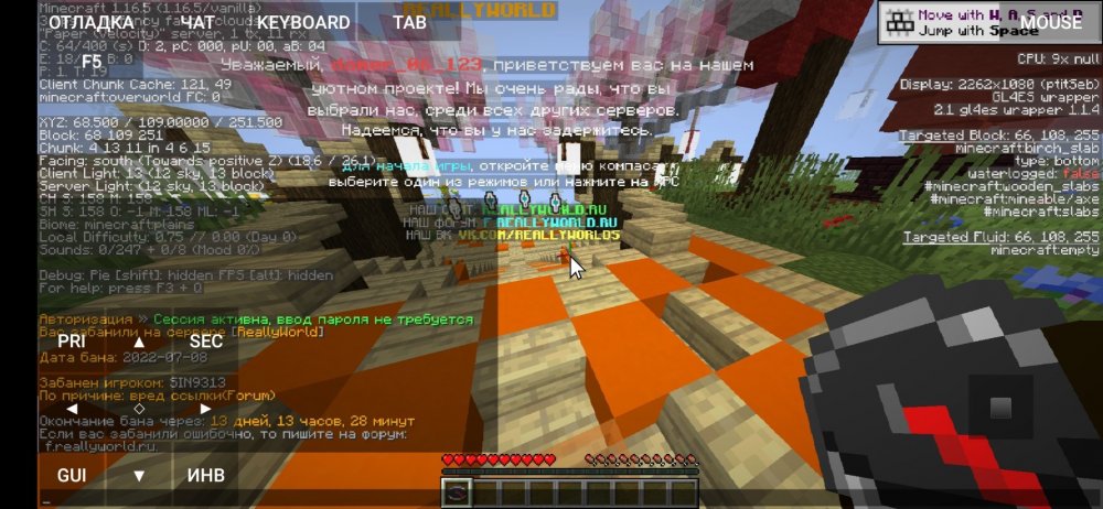 Screenshot_2022-07-09-09-10-53-632_net.kdt.pojavlaunch.debug.jpg