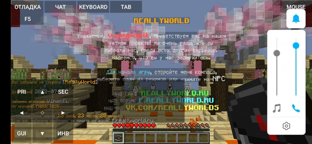 Screenshot_20220722_213001_net.kdt.pojavlaunch.jpg