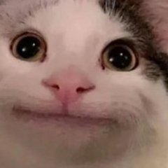 shjgdaowid