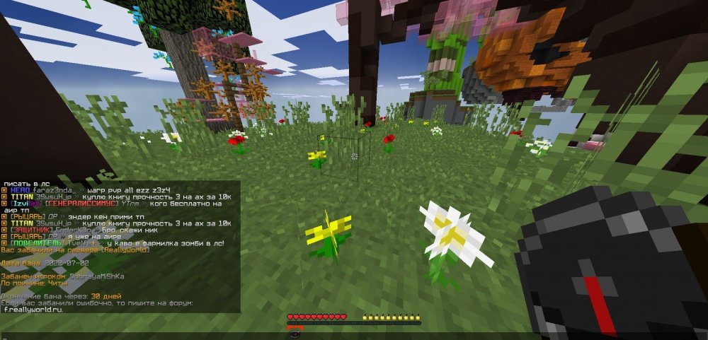 image.thumb.jpeg.3496f0b22c579c438c3268956188073c.jpeg