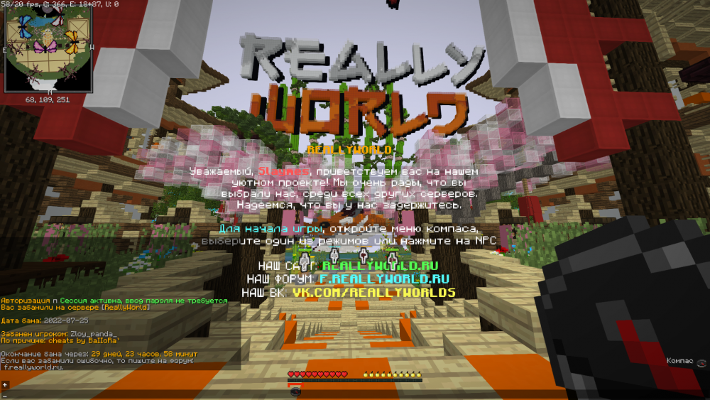 image.thumb.png.48f8167cc49a5452b8811b4b48c6f345.png