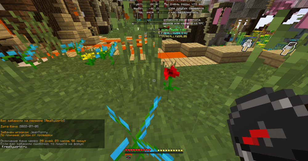 image.thumb.png.4cef299f1ada24fcc07849291dd0a74a.png
