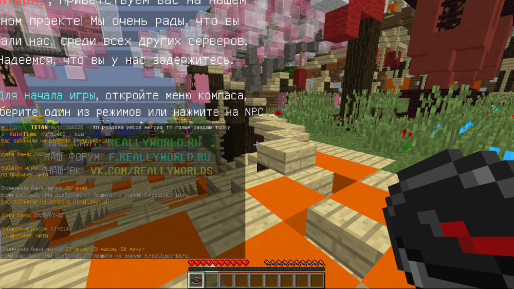 image.thumb.png.6e629b153943968f5aa089801628101c.png
