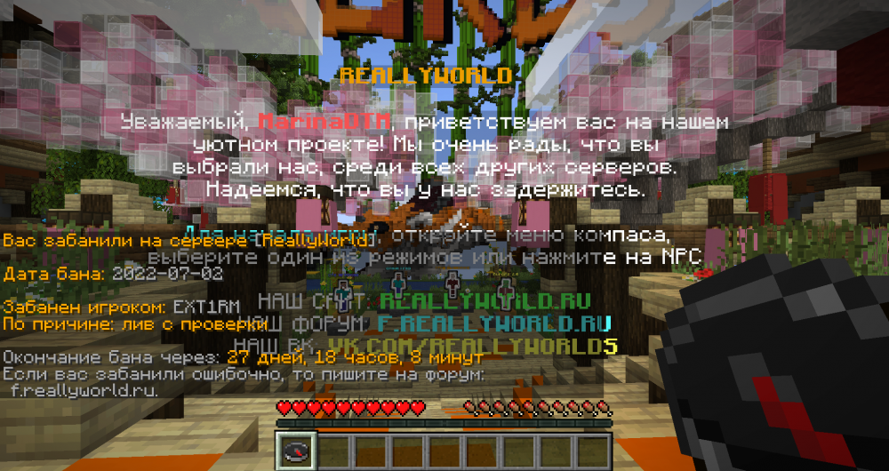 image.thumb.png.bace87fd5226287d79f1bfb58a0e3e47.png