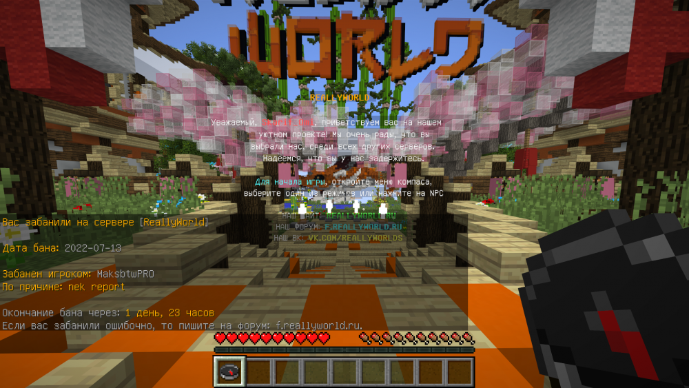 image.thumb.png.c960e508045537f77caaad4368e08cd6.png