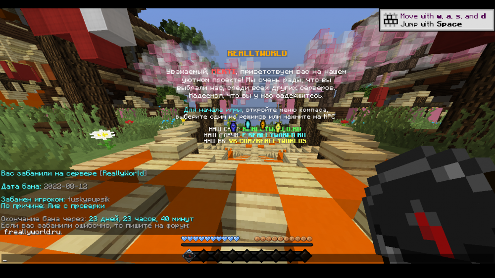 1307111__2022-08-12_163714187.thumb.png.23d6ed8a1f179a4cf96857c54fb50b0a.png