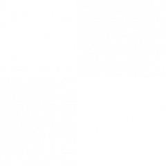Savely_vk123