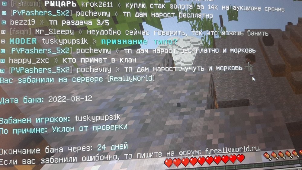 1660308442442.jpg