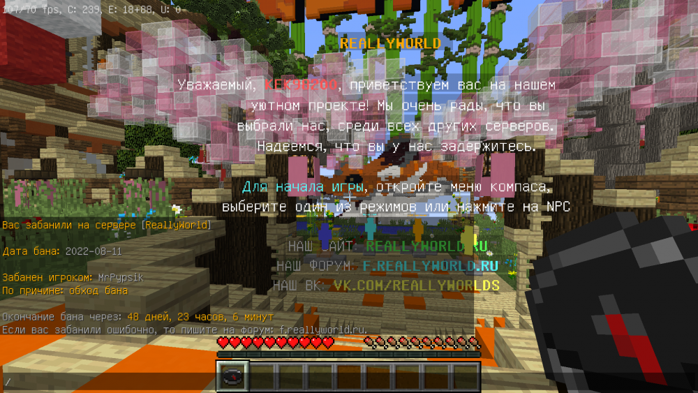 2022-08-12_21_58_25.thumb.png.07cdccbfd2f04e6a94454fce7782d235.png
