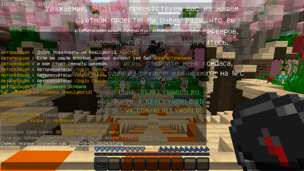 2022-08-21_16_25_08.thumb.png.7c81a02d055c8a6c39859d2f57f1567c.png