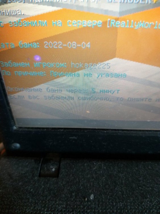 20220804_153535.jpg
