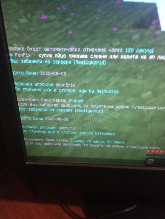 20220805_204931.jpg