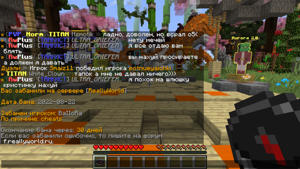 42742689_Minecraft1_14_422_08.202220_54_01.thumb.png.17c3918783ecdfd1d110b9678fd9fb40.png