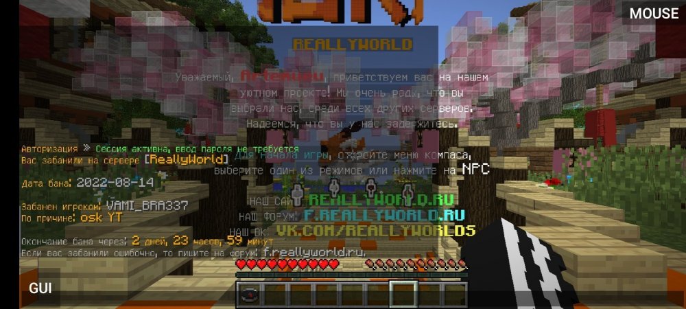 Screenshot_20220814-132431_PojavLauncher (Minecraft Java Edition for Android).jpg