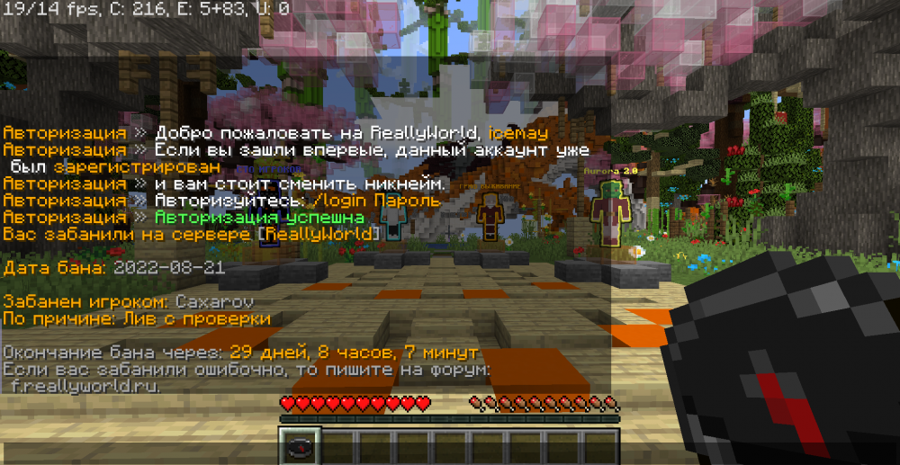 5minut_ne_proshlo_s_liva.png