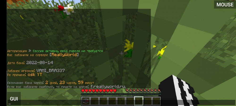 Screenshot_20220814-132514_PojavLauncher (Minecraft Java Edition for Android).jpg