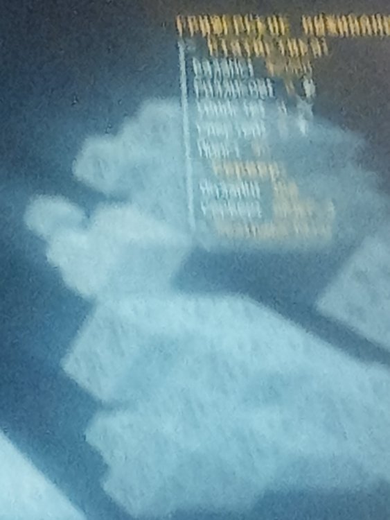 IMG_20220811_202615.jpg