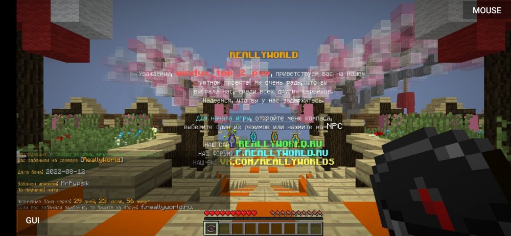 Screenshot_2022-08-12-17-18-26-383_net_kdt.pojavlaunch.thumb.jpg.16e9c152d61e3db35d2bda359dba5123.jpg