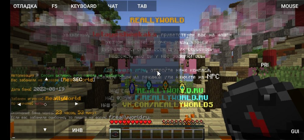 Screenshot_2022-08-19-10-48-35-344_net_kdt.pojavlaunch.thumb.jpg.3e43724f3e692feb5b97da4767eaa034.jpg