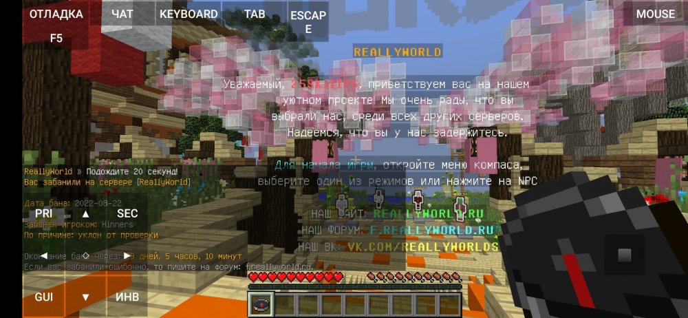 Screenshot_2022-08-23-17-51-47-561_net_kdt.pojavlaunch.debug.thumb.jpg.13561e371a92951dbadae3e2b7f320e1.jpg
