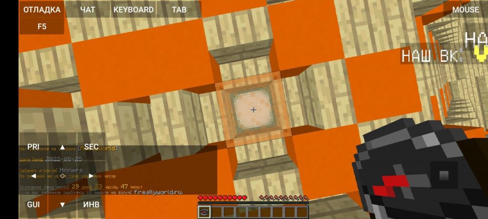 Screenshot_2022-08-25-01-29-39-297_net.kdt.pojavlaunch.jpg