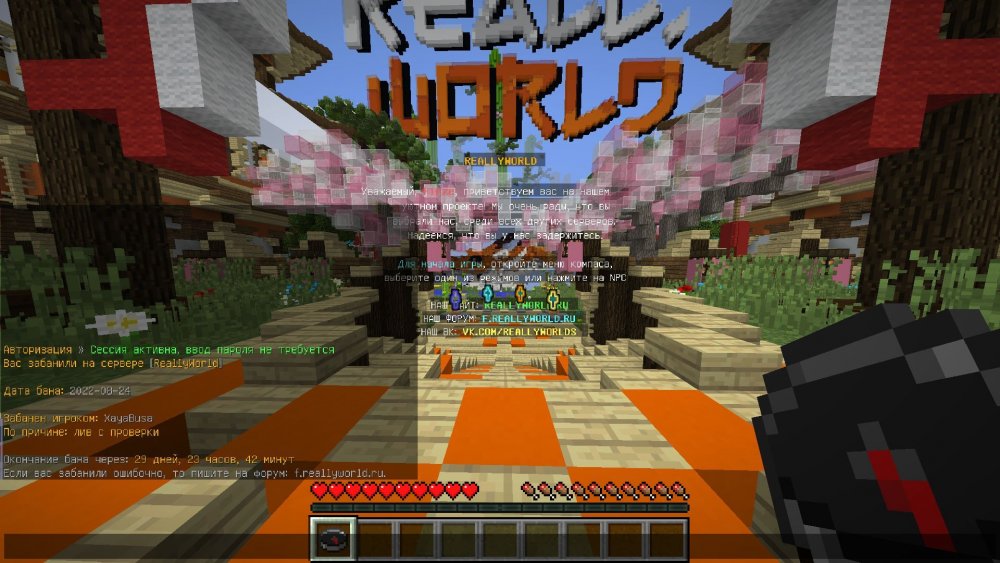 image.thumb.jpeg.34b589bfe83834081ab4dcac141da1fb.jpeg