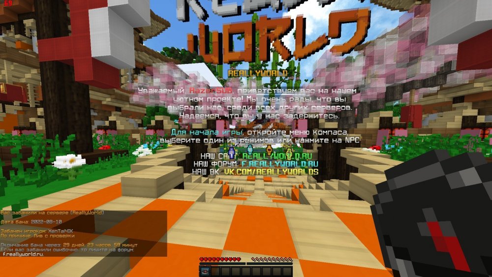 image.thumb.jpeg.3b895d96fc219856da35b694e12999c9.jpeg