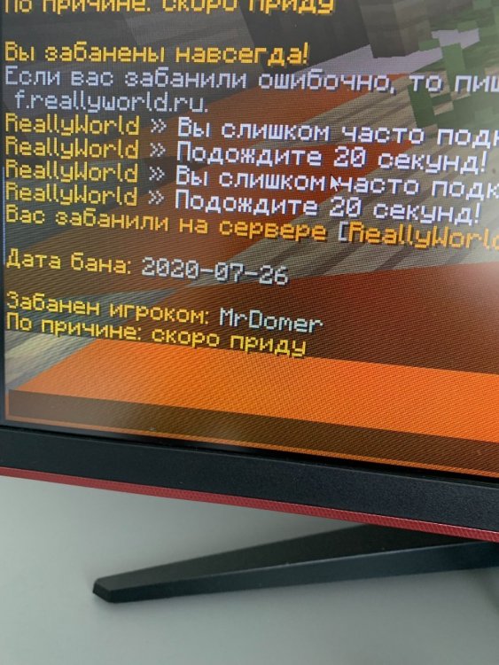 image.thumb.jpeg.e9ead6850ba3aa565e46d5c90995c041.jpeg