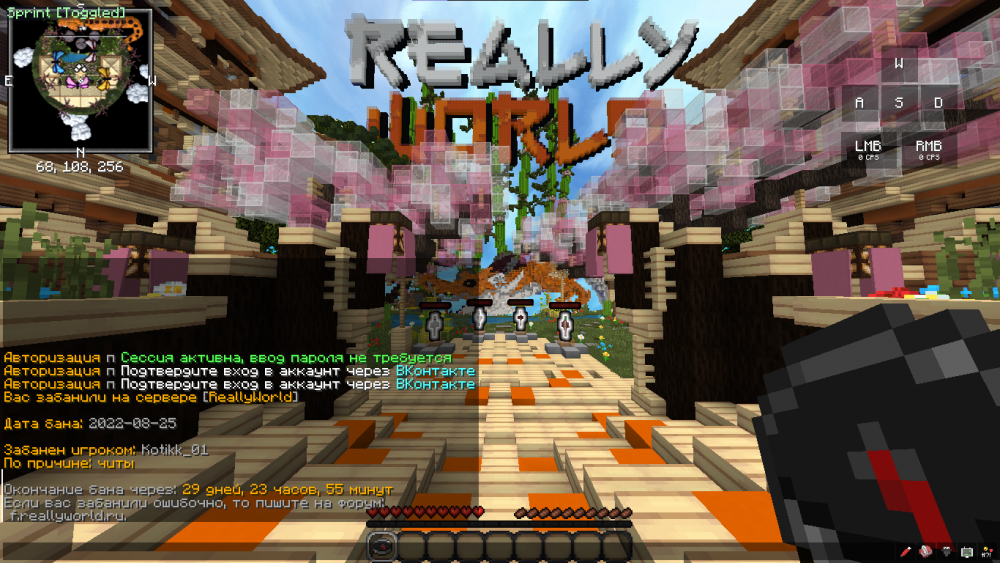 image.thumb.png.0ce08454fb6d7a47f491110d9012ccc9.png