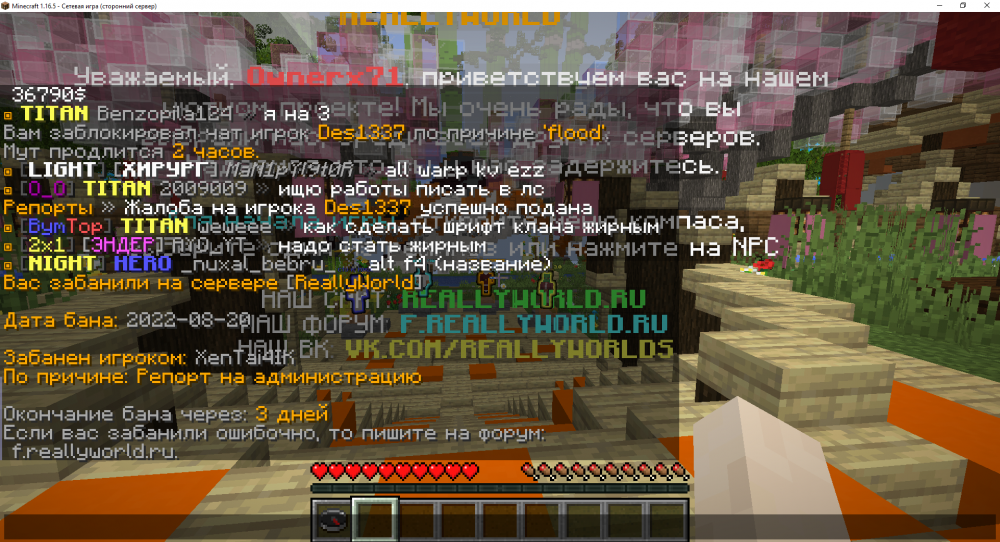 image.thumb.png.0ce3cbc5369bc3f1fad7ca9f1243f625.png
