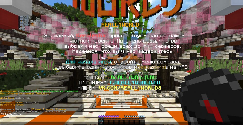 image.thumb.png.1e93bbd014c2b3ee6d88ca9fb97b9cc3.png