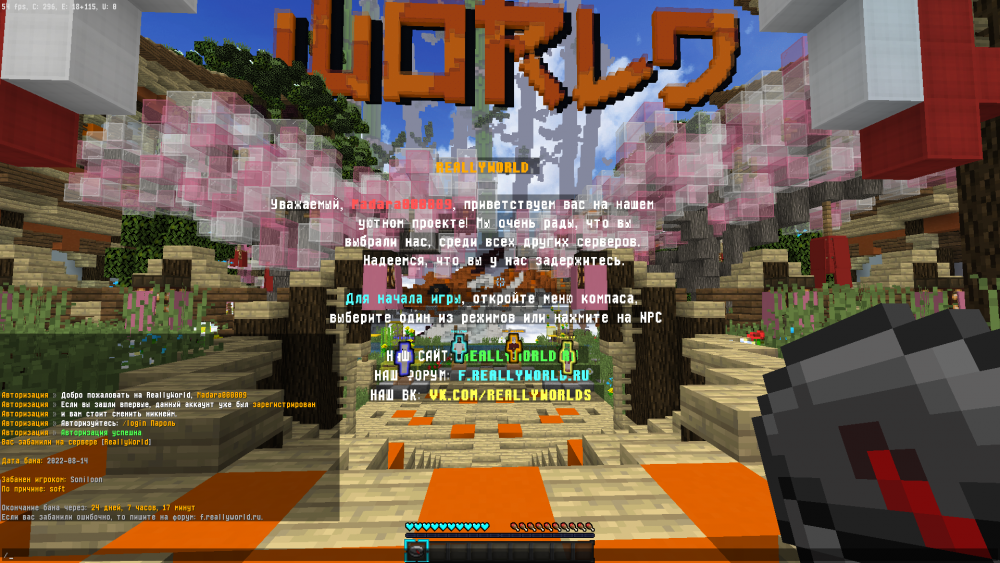 image.thumb.png.2354ad063dbd063d5d95429d45204302.png