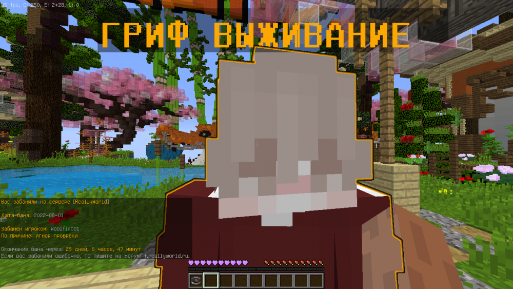 image.thumb.png.69ef5e174327ee3875913c9b99405587.png