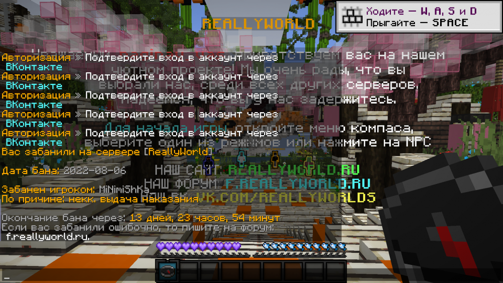 image.thumb.png.89a9ab4e75c18fabc0d684e53a8725dd.png