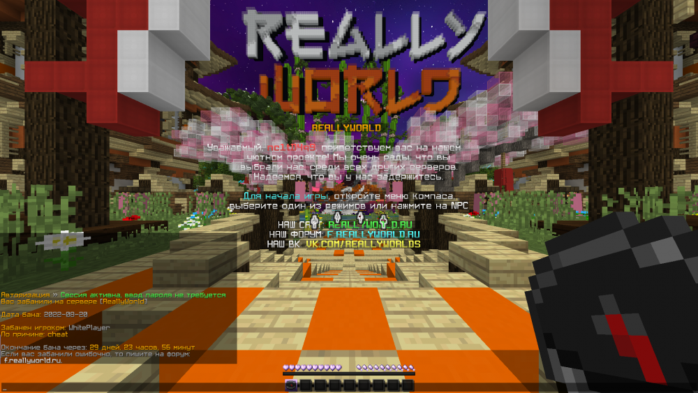 image.thumb.png.8a6bc1662697913b24a56f25222c41f7.png