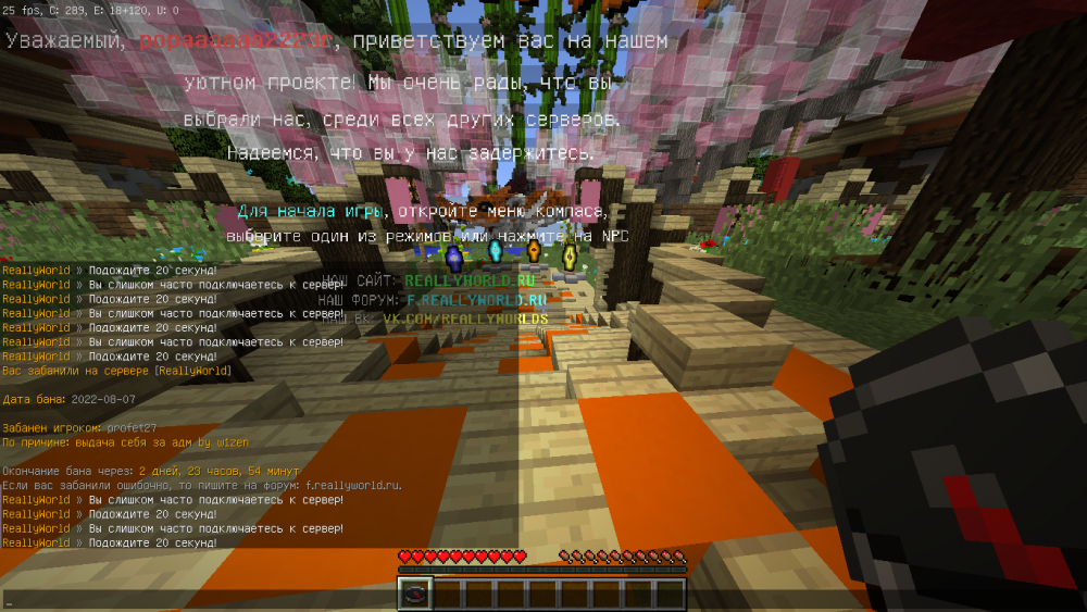 image.thumb.png.979e717ddabc3d865b7b29c4edfc0523.png