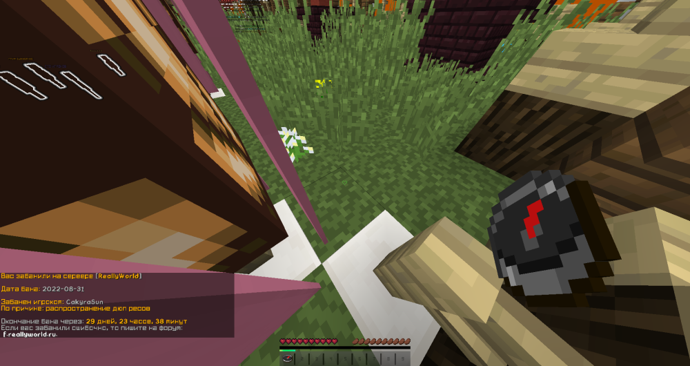 image.thumb.png.9e0bb47ff12ce154da41ae7d26217315.png
