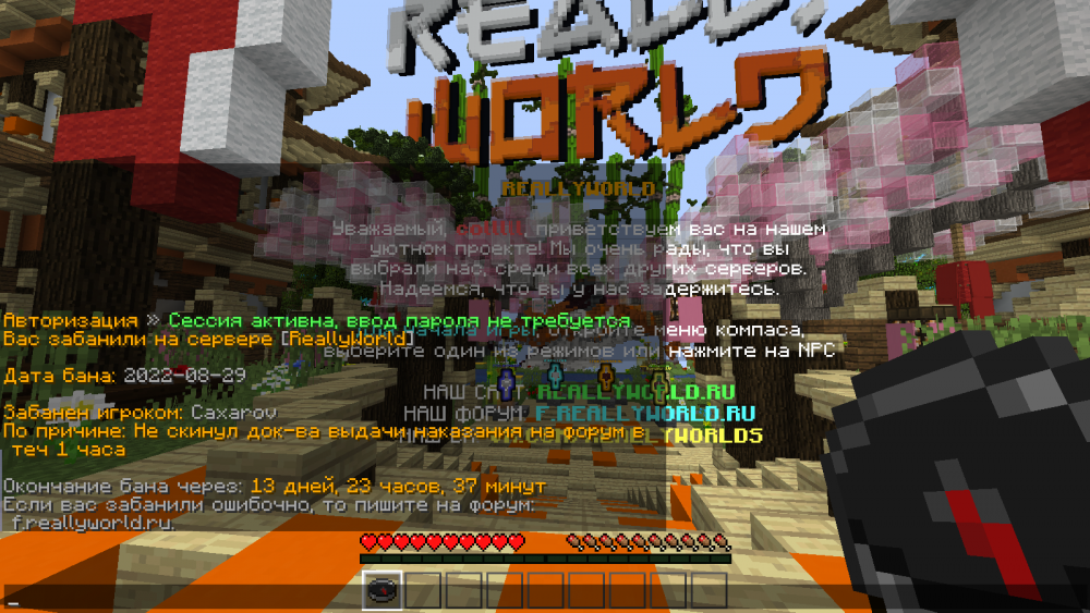 image.thumb.png.d46c29064696eb08b98b628d2f26b662.png