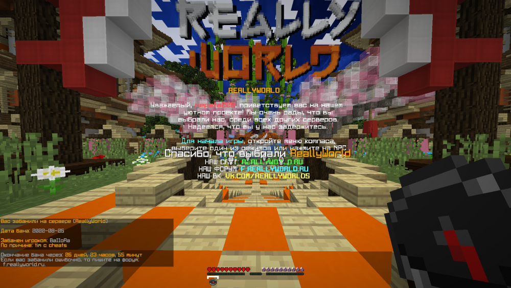 image.thumb.png.d6a4ecd0382d9bbbe3a5d7b7524ceef6.png