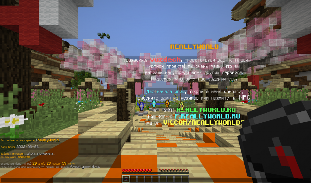 image.thumb.png.e7794609e5fb222e1b8e20fe26d2f646.png
