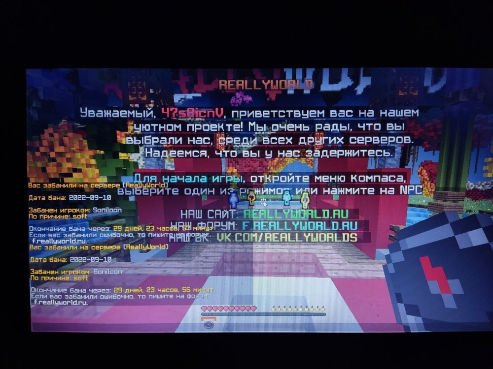 1662830112138600451174085542681.thumb.jpg.66796916a130c671f36f33a920e89f26.jpg