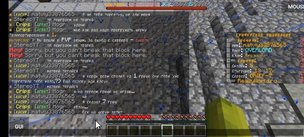Screenshot_20220906-070632_PojavLauncher (Minecraft Java Edition for Android).jpg