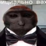 tafuezz
