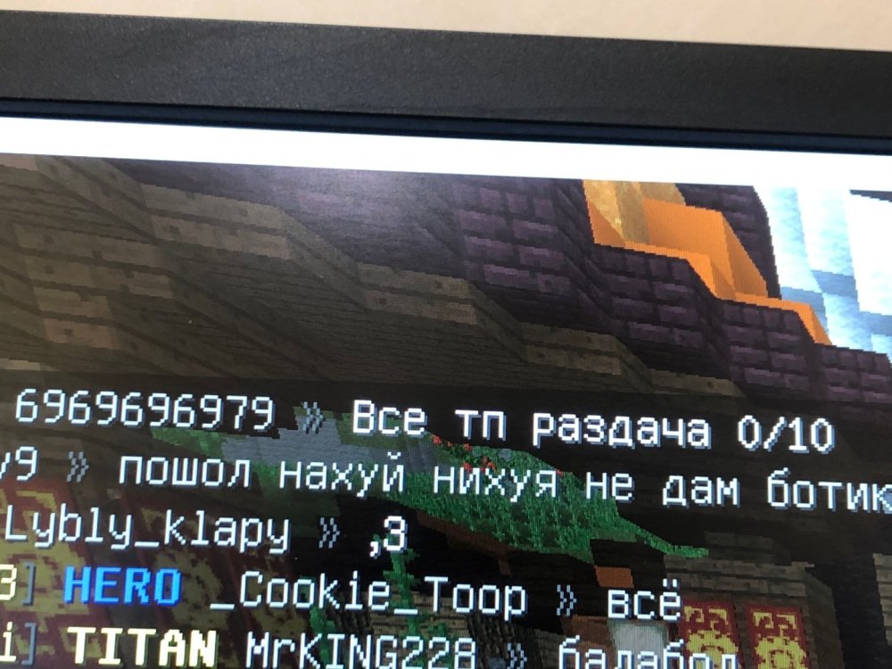 image.jpg
