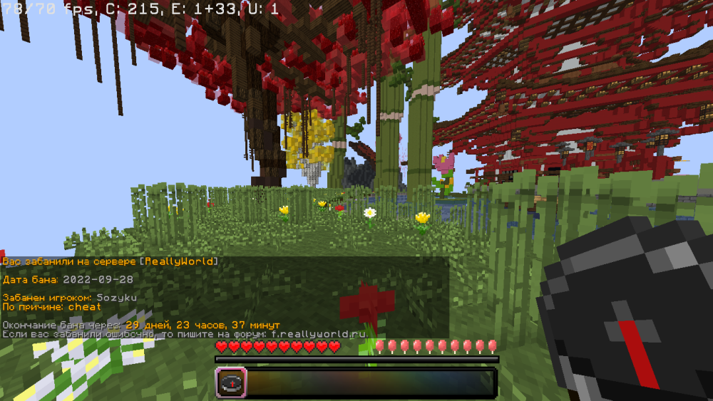image.thumb.png.9cb6e06970ede6d3bc9fff18d175103e.png