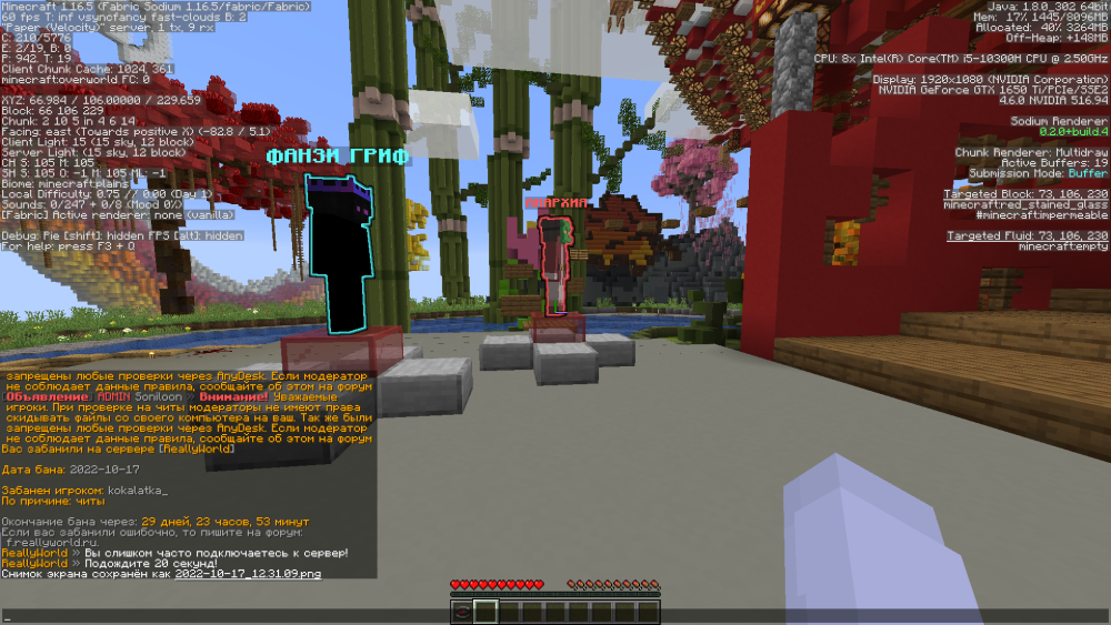 Minecraft Screenshot 2022.10.17 - 12.31.20.30.png