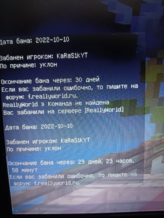 16654042820582696301968292113086.jpg
