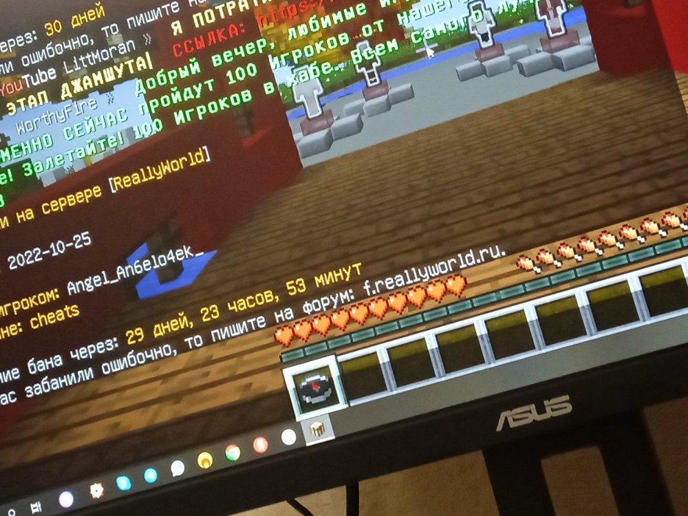 16667126278778721546926600181995.jpg