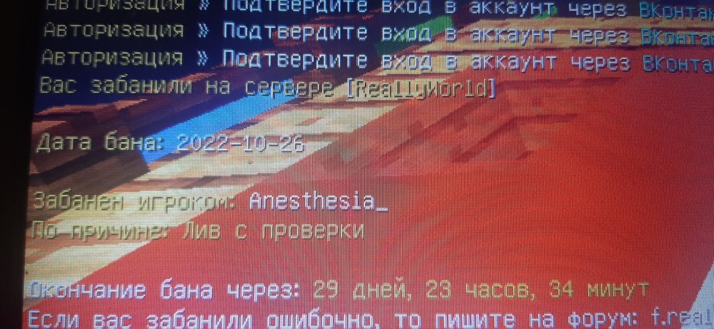 16668065395871264028838683628963.jpg